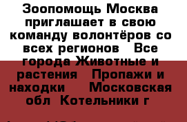 Зоопомощь.Москва приглашает в свою команду волонтёров со всех регионов - Все города Животные и растения » Пропажи и находки   . Московская обл.,Котельники г.